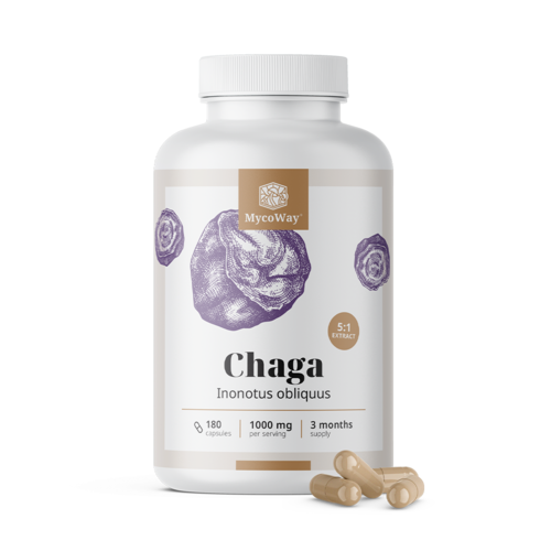 Chaga 1000 mg – izvleček 5:1, 180 kapsul
