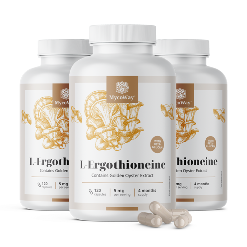 3x L-Ergothioneine 5 mg, skupaj 360 kapsul