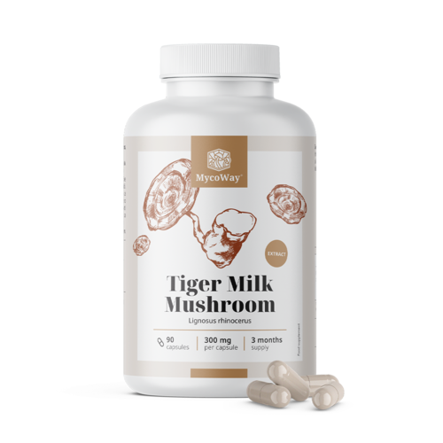 Tiger Milk 300 mg – izvleček gobe Lignosus rhinocerus, 90 kapsul