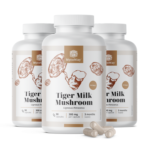 3x Tiger Milk 300 mg – izvleček gobe Lignosus rhinocerus, skupaj 270 kapsul