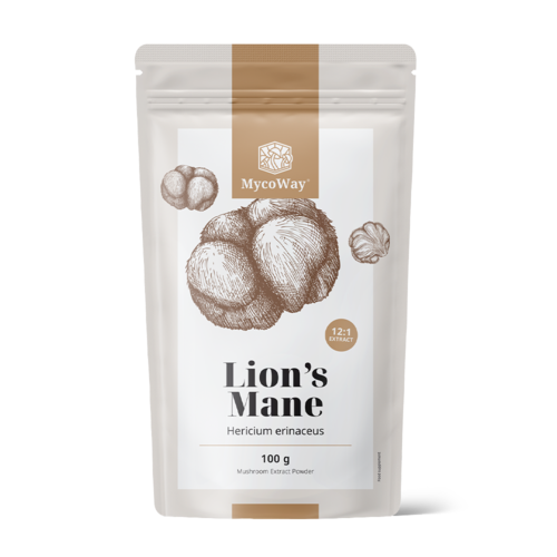 Resasti bradovec (levja griva) – izvleček 12:1, 100 g