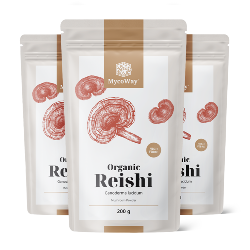 3x BIO Reishi v prahu, skupaj 600 g