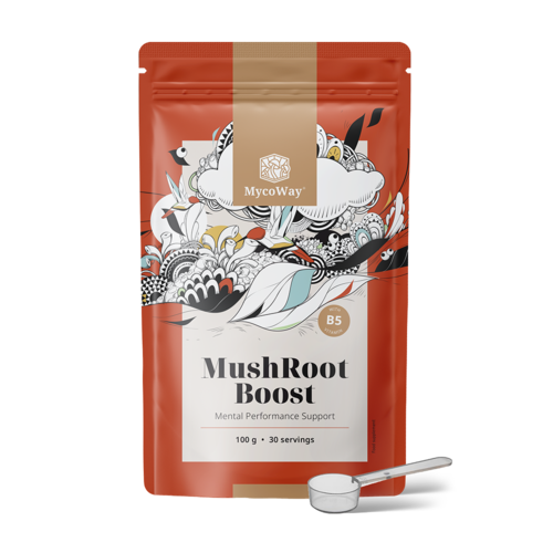 MushRoot Boost – napitek za umsko zmogljivost, 100 g