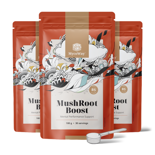 3x MushRoot Boost – napitek za umsko zmogljivost, skupaj 300 g
