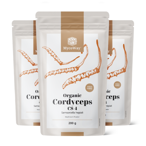 3x BIO Cordyceps CS-4 v prahu, skupaj 600 g