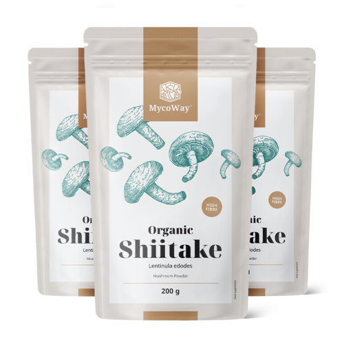 3x BIO Shiitake v prahu, skupaj 600 g