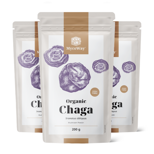 3x BIO Chaga v prahu, skupaj 600 g