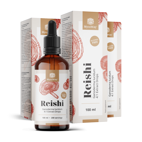 3x Reishi – izvleček v kapljicah, skupaj 300 ml