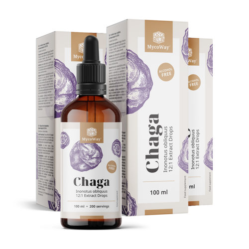 3x Chaga – izvleček v kapljicah, skupaj 300 ml