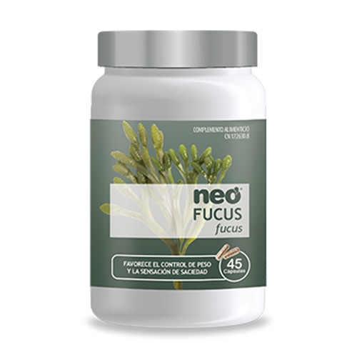 Fucus alga