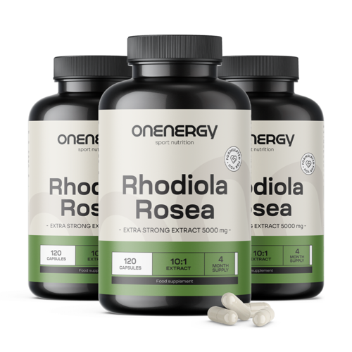 3x Rožni koren (Rhodiola) 5000 mg – izvleček, skupaj 360 kapsul