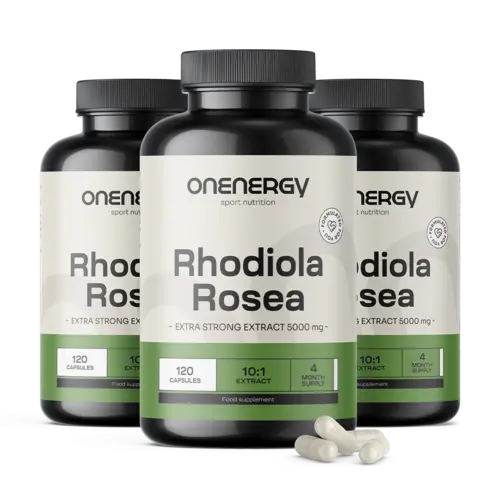 3x Rožni koren (Rhodiola) 5000 mg – izvleček, skupaj 360 kapsul