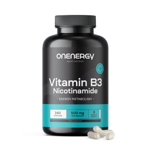 Vitamin B3 500 mg – nikotinamid, 240 kapsul