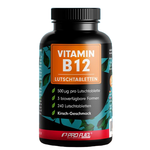 Vitamin B12 v pastilah